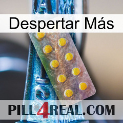 Despertar Más new11